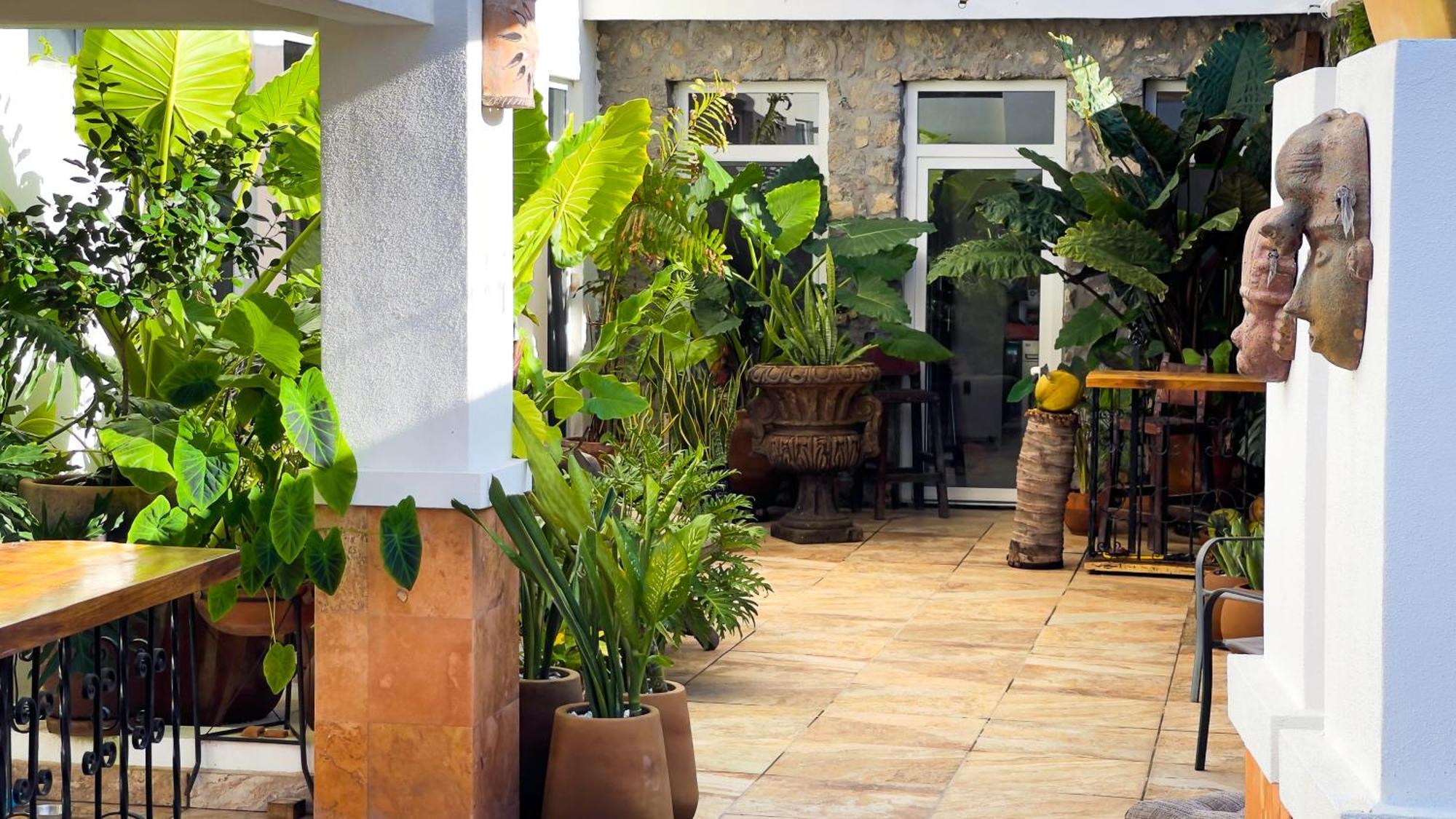 Quinta Alberto Boutique Hotel サン・ブラス エクステリア 写真